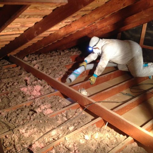Attic Cleaning
